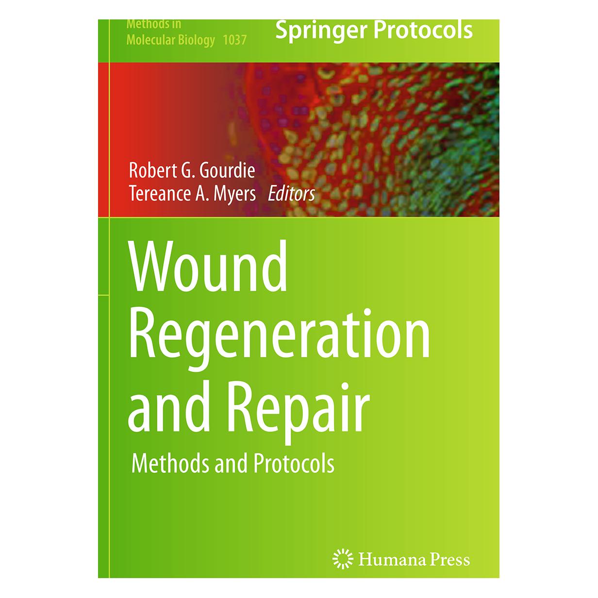 Springer Wound Regeneration and Repair (Englisch, Softcover, Robert G. Gourdie, Tereance A. Myers) (55833203)