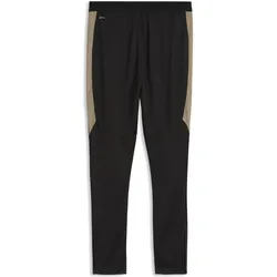 Puma, Herren, Sporthose, IndividualFINAL Training Pants (S), Weiss, Beige