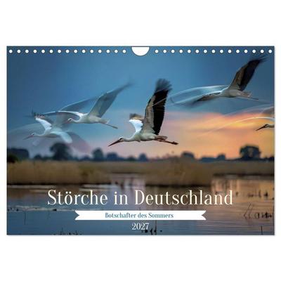 Störche in Deutschland (Wandkalender 2027 DIN A4 quer), CALVENDO Monatskalender