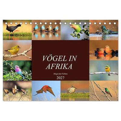 Vögel in Afrika - Magie der Farben (Tischkalender 2027 DIN A5 quer), CALVENDO Monatskalender