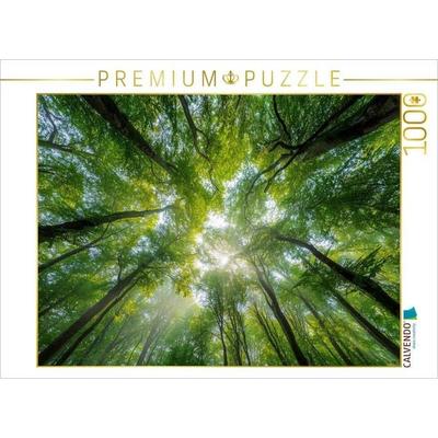 CALVENDO Puzzle Sonnenstrahlen fallen durch das dichte Blätterdach eines sommerlichen Waldes und schaffen eine Atmosphäre der Ruhe und Entspannung. |