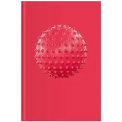 Sophie Hirsch, Fachbücher von Sophie Hirsch, Sina Wagner, Thomas Häusle
