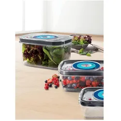 Bosch Hausgeräte Vakuumier-Behälter MSZV0FC2, Vorratsbehälter, Transparent