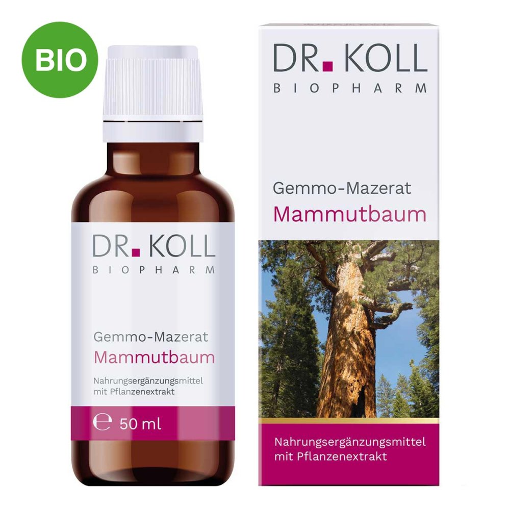 Dr. Koll Biopharm GmbH Gemmo Mazerat Mammutbaum Doktor koll Sequoia Gigantea 18468011