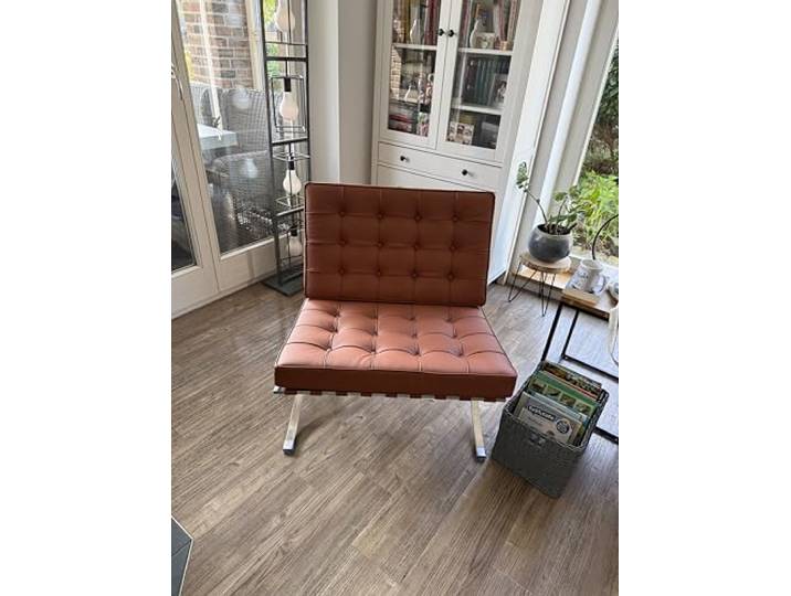 Furnwise Moderner Ledersessel für Wohnzimmer mit poliertem Edelstahlgestell (Cognac)