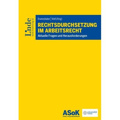 Rechtsdurchsetzung im Arbeitsrecht, Taschenbuch von Stefan Köck,Sascha Obrecht,Andrea Potz, Linde, 978-3-7073-5533-8