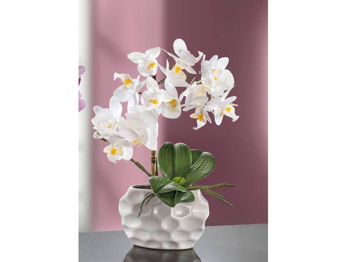 Orchideen-Gesteck in Keramikvase, Weiss