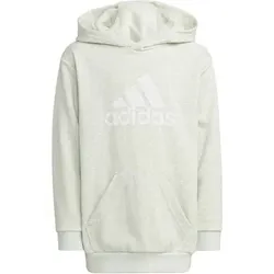 ADIDAS Kinder Kapuzensweat U BOS HD, Größe 176 in Grau Grau