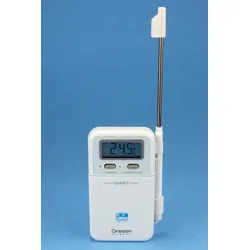 Thermometer, elektronisch
