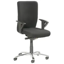 Drehstuhl Business, ESD