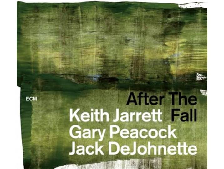 After The Fall