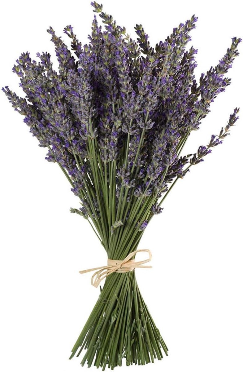 Thijox Natuurlijke Lavendel Bundels, 100 Stammen Gedroogde Lavendel voor Decoratie