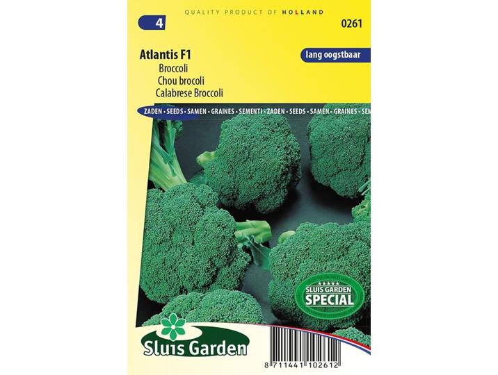 Broccoli Atlantis F1 zaden