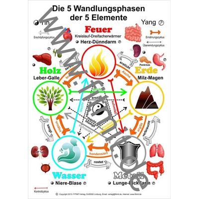 Die 5 Wandlungsphasen, Zubehör von Tanja Aeckersberg, Aeckersberg, Ingrid, 978-3-911548-16-8
