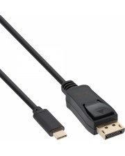 InLine USB Display Kabel USB-C Stecker zu DisplayPort DP Alt Mode 4K2K schwarz 2m Schwarz (64122)