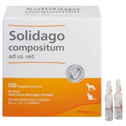 SOLIDAGO COMPOSITUM ad us.vet.Ampullen 100 St