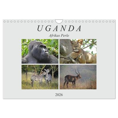 Afrikas Perle Uganda (Wandkalender 2026 DIN A4 quer), CALVENDO Monatskalender