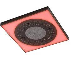 Steinberg Serie 390 Sensual Rain Regenpaneel, LED-Beleuchtung, EasyClean, 2-strahlig, 600x600mm, 3906630S, Farbe: Mattschwarz