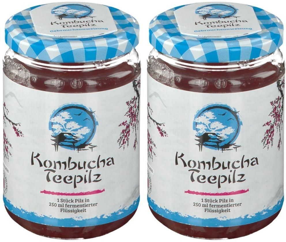 GALL PHARMA Kombucha Teepilz 2x 2x1 St Tee