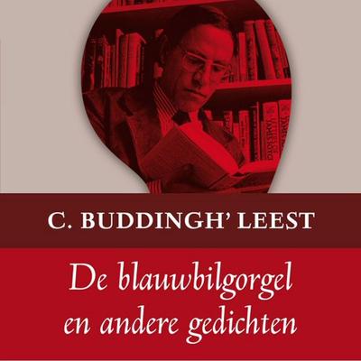 De Blauwbilgorgel en andere gedichten - C. Buddingh'; Audio, 9789047604068