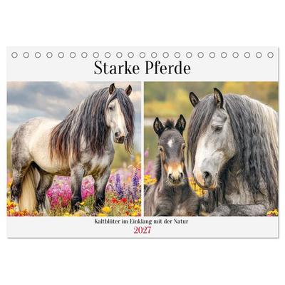 Starke Pferde. Kaltblüter im Einklang mit der Natur (Tischkalender 2027 DIN A5 quer), CALVENDO Monatskalender
