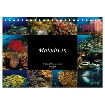 Malediven - Die bunte Unterwasserwelt (Tischkalender 2027 DIN A5 quer), CALVENDO Monatskalender