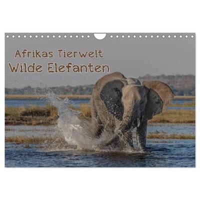 Afrikas Tierwelt - Wilde Elefanten (Wandkalender 2027 DIN A4 quer), CALVENDO Monatskalender