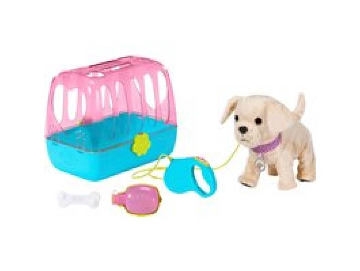 Hund Lucky mit Box