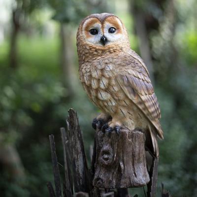 Hi-Line SoReal Brown Owl on branch