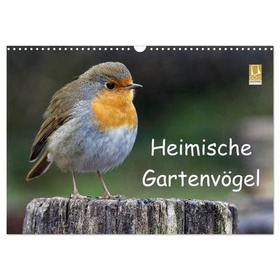Heimische Gartenvögel (Wandkalender 2027 DIN A3 quer), CALVENDO Monatskalender