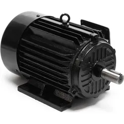 Wiltec, Elektromotor, Elektromotor
