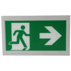 Ceag Notlichtsysteme Piktogrammscheibe 2-seitig 40071354506