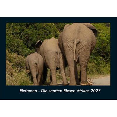 Elefanten - Die sanften Riesen Afrikas 2027 Fotokalender DIN A4