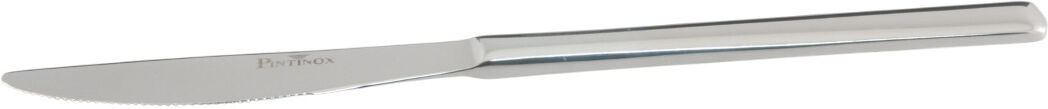 Pintinox Coltello Frutta Synthesis