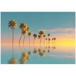 FOTOTAPETE 3D Effekt Strand Meer Karibik Wohnzimmer 250x175