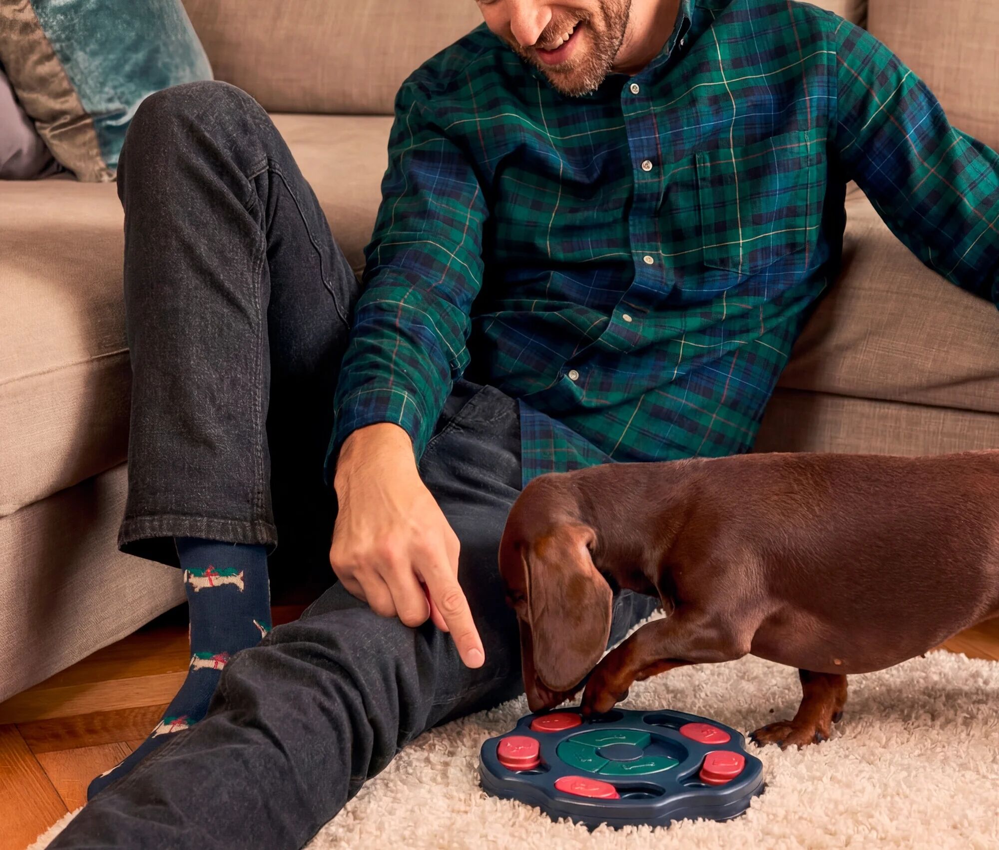 Tchibo - Hunde-Intelligenzspielzeug - blau