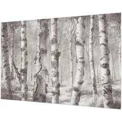FOTOTAPETE 152x104 cm - Birkenwald