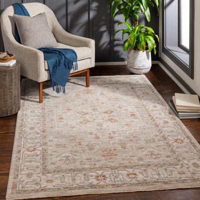 Livabliss Artistic Weavers Rian Classic Medallion Area Rug