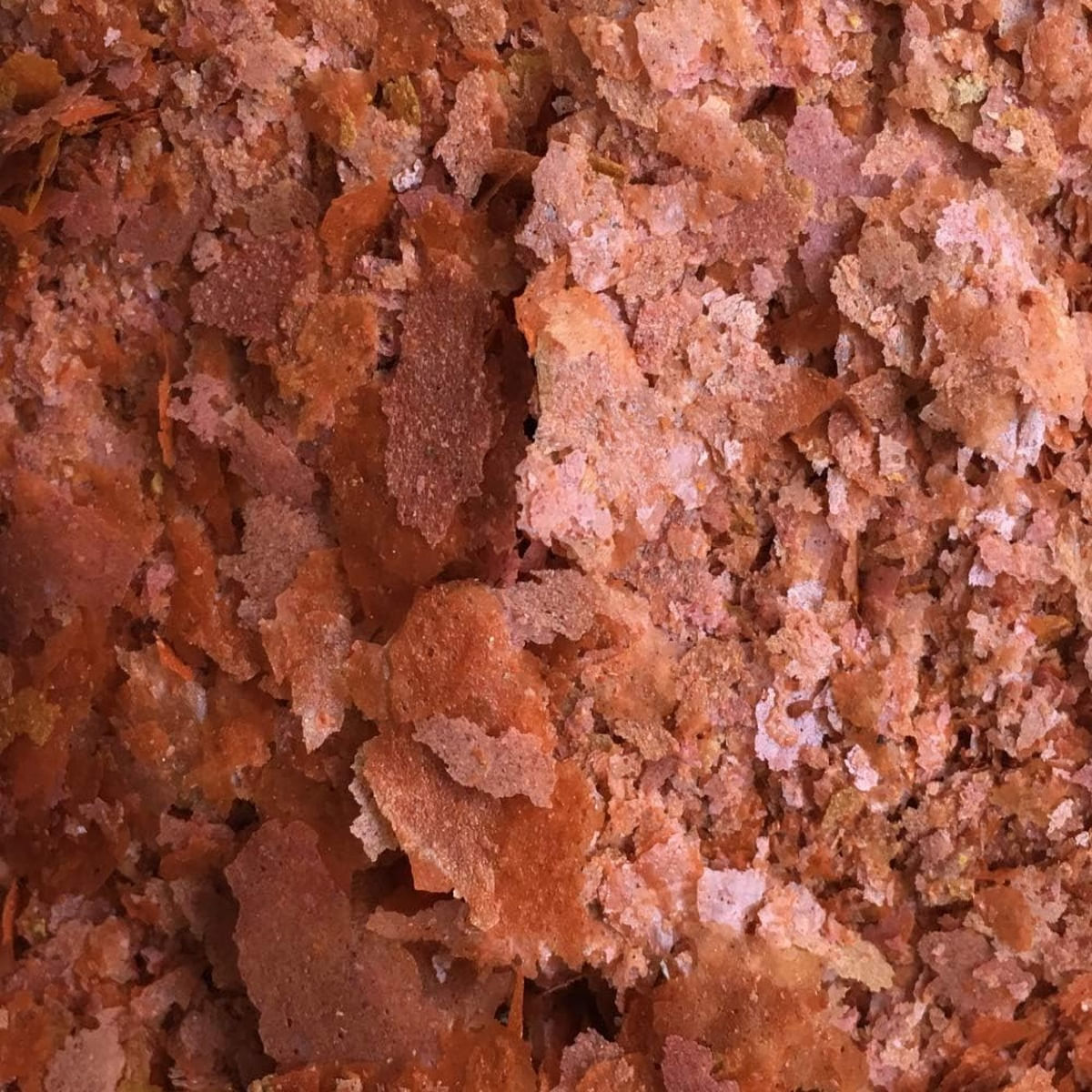 Amtra Pro Color Flake 25G