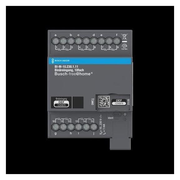 Busch-Jaeger Binäreingang, 10fach, 10-230V, manuelle Bedienung, REG 2CDG510017R0021 BI-M-10.230.1.11 (2CDG510017R0021)