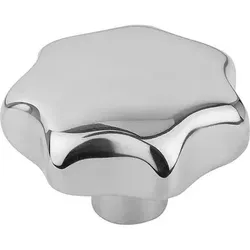 STERNGRIFF, FORM:C DIN6336, D1=32, H=21, D=6, EDELSTAHL POLIERT