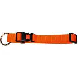 82061 MIAMI Halsband orange, 10 mm, verstellbar 20 - 35 cm