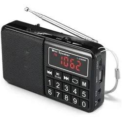 We-Vibe Radio grandes ondes AM / FM / SW Lecteur USB / Micro SD batterie rechargeable NO (AM, FM), Radio