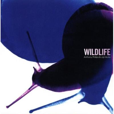 Wildlife 2CD Remastered and Expanded Edition - Anthony Phillips,Joji Hirota, CD, 5013929482692