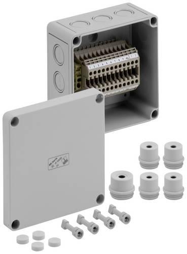 Spelsberg RK 4/12-12x4q Reihenklemmen-Gehäuse 130 x 130 x 75 Kunststoff Grau 1St.