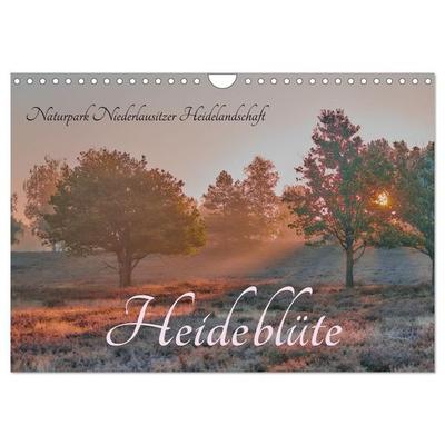 Naturpark Niederlausitzer Heidelandschaft - Heideblüte (Wandkalender 2027 DIN A4 quer), CALVENDO Monatskalender