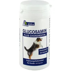Glucosamin+chondroitin Kapseln für Hunde