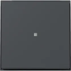 Gira Wippe Kontrollf. 329067