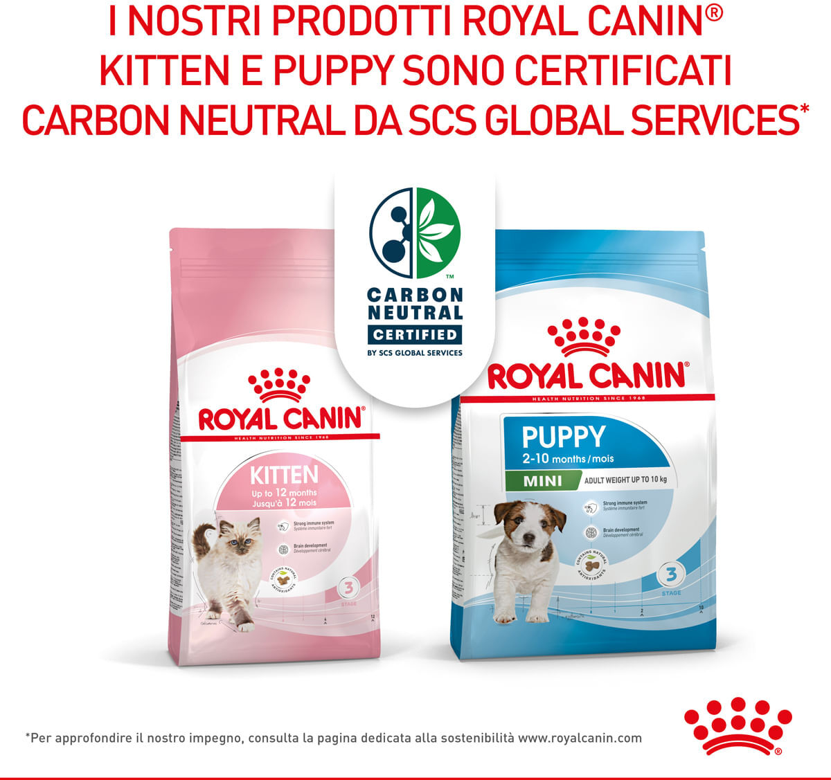 Royal Canin Giant Junior 15KG