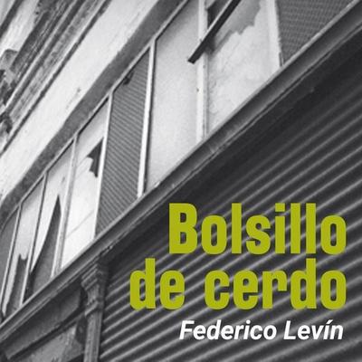 Bolsillo de cerdo - Federico Levín, Audio, 9789178375363